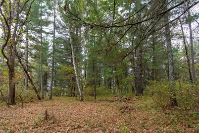 Tbd Harriet Lake Trail NW, Backus, MN 56435 - Photo 2