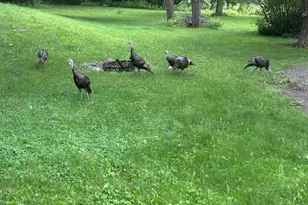 52765 409th Ave, North Mankato, MN 56003 - Photo 50