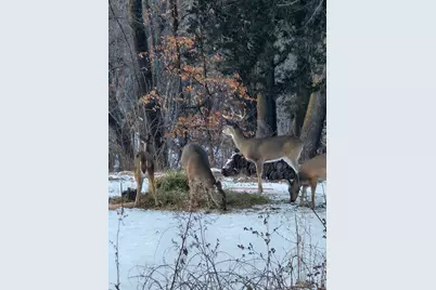 52765 409th Avenue, North Mankato, MN 56003 - Photo 58