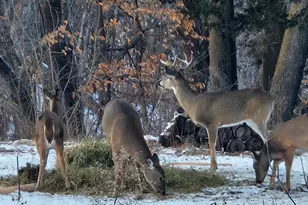 52765 409th Ave, North Mankato, MN 56003 - Photo 58