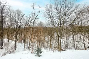 52765 409th Ave, North Mankato, MN 56003 - Photo 40