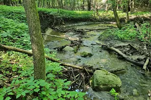 52765 409th Ave, North Mankato, MN 56003 - Photo 52