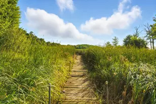 563 Elins Lake Road SE, Cambridge, MN 55008 - Photo 20