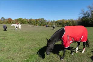 3035 Lake Sarah Rd, Maple Plain, MN 55359 - Photo 38