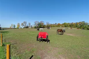 3035 Lake Sarah Rd, Maple Plain, MN 55359 - Photo 62