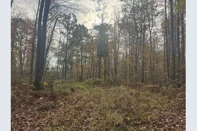 Tbd N State Road 40, Exeland, WI 54835 - Photo 20