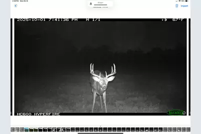 Tbd N State Road 40, Exeland, WI 54835 - Photo 38