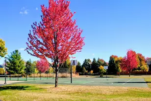 2960 Molina St, Shakopee, MN 55379 - Photo 26