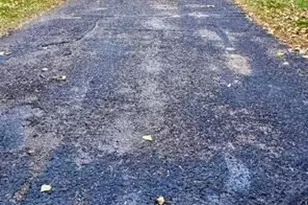 407 Main Ave, Carlos, MN 56319 - Photo 48