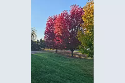 3524 385th Avenue NW, Stanchfield, MN 55080 - Photo 48