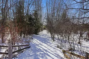 3524 385th Ave NW, Stanchfield, MN 55080 - Photo 46