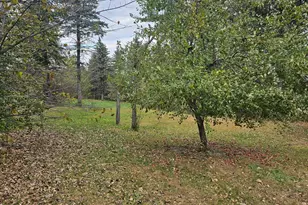 30409 Co Hwy 1, Maine Twp, MN 56586 - Photo 10