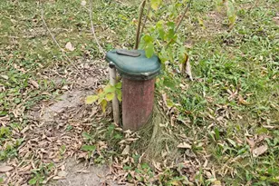 30409 Co Hwy 1, Maine Twp, MN 56586 - Photo 12