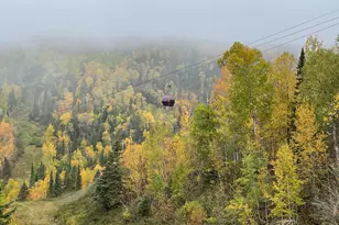 511 Moose Mountain Dr, Tofte Township, MN 55615 - Photo 24