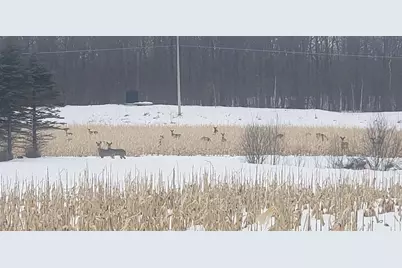 30205 190th Lane, Isle, MN 56342 - Photo 58