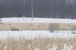 30205 190th Ln, Isle, MN 56342 - Photo 58