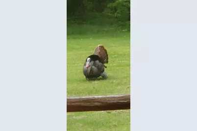 30205 190th Lane, Isle, MN 56342 - Photo 54