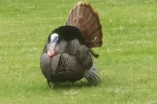 30205 190th Ln, Isle, MN 56342 - Photo 54