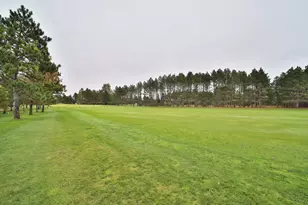 12075 Blueberry Loop, Menahga, MN 56464 - Photo 62