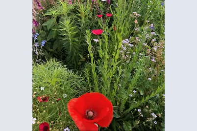 1020 Abbey Road, Northfield, MN 55057 - Photo 40