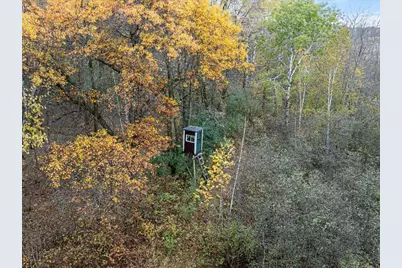 61 County Road 45, Fort Ripley, MN 56449 - Photo 36