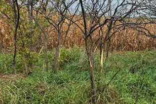 4616 Groves End Ln SE, Rochester, MN 55904 - Photo 34