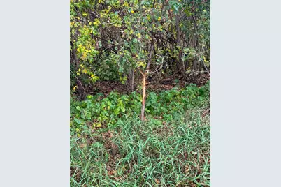 4616 Groves End Lane SE, Rochester, MN 55904 - Photo 36