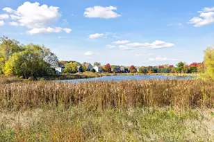 10758 Watersedge Ln, Woodbury, MN 55129 - Photo 98