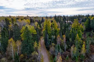 2446 NE Grade Rd, Fairbanks, MN 55602 - Photo 44