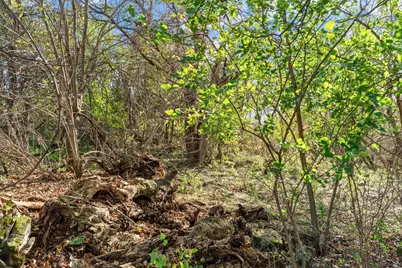 74Xx 181st Avenue NW, Nowthen, MN 55303 - Photo 22