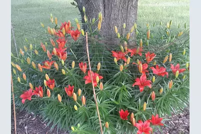 696 Buttercup Court, Hudson, WI 54016 - Photo 40