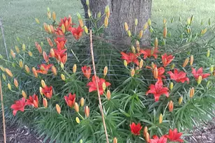 696 Buttercup Ct, Hudson, WI 54016 - Photo 40