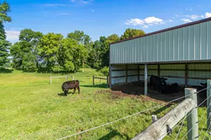 7148 County Rd 42 NE, Alexandria, MN 56308 - Photo 94