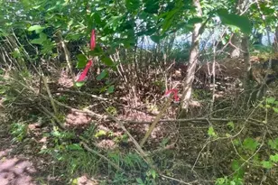 48410 Squaw Point Trail, Perham, MN 56573 - Photo 22