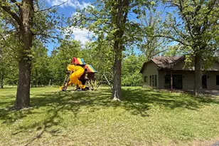 50429 245th Ave, Staples, MN 56479 - Photo 6