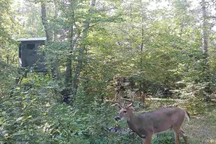 50429 245th Ave, Staples, MN 56479 - Photo 54