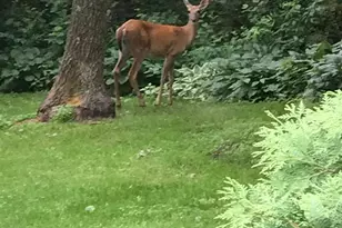 9175 Lakewood Shore Rd NW, Rice, MN 56367 - Photo 24