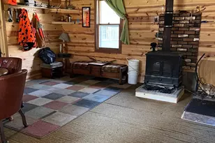 46020 Third River Dr, Deer River, MN 56636 - Photo 2