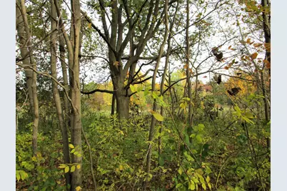 Parcel 2 90th Street, Frederic, WI 54837 - Photo 6