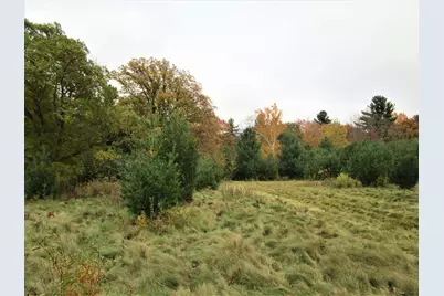 Parcel 2 90th Street, Frederic, WI 54837 - Photo 4