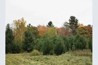 Parcel 2 90th Street, Frederic, WI 54837 - Photo 2