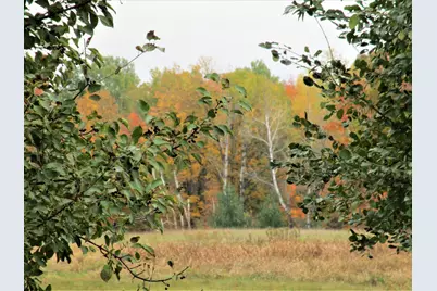 Parcel 3 90th Street, Frederic, WI 54837 - Photo 4