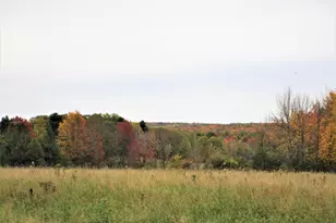 Parcel 4 90th St, Frederic, WI 54837 - Photo 1