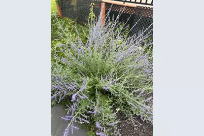 10770 Fall Court NW, Bemidji, MN 56601 - Photo 76