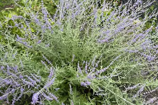 10770 Fall Ct NW, Bemidji, MN 56601 - Photo 76