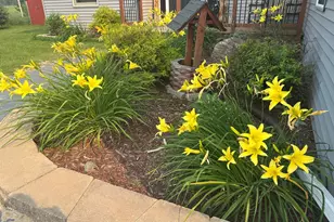 10770 Fall Ct NW, Bemidji, MN 56601 - Photo 62