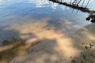 25522 Roy Ln, Nisswa, MN 56468 - Photo 12