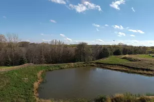 914 Buffalo Street NW, Delano, MN 55328 - Photo 36