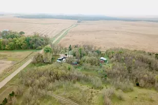 19375 573rd Ave, Green Leaf Township, MN 55355 - Photo 50