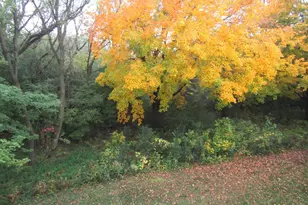 805 S 10th St, Montevideo, MN 56265 - Photo 62